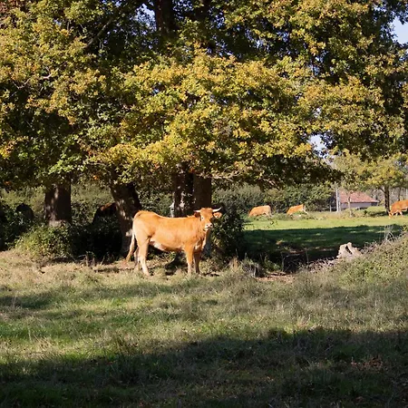 Campagne Charentaise 别墅 *