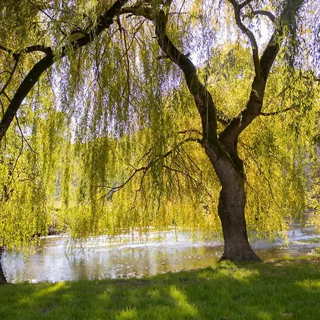 Campagne Charentaise Villa Saint-Angeau